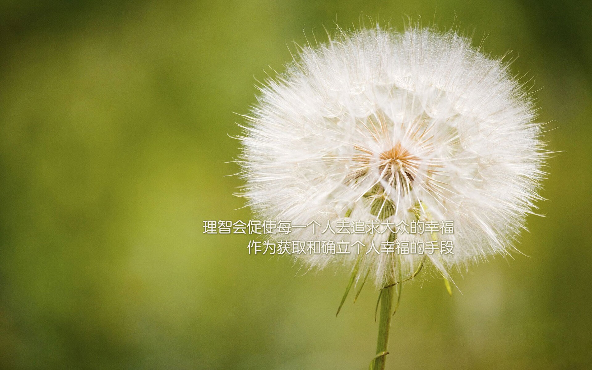 九游电脑版-迈阿密国际与国内媒体达成合作协议，提升曝光度，迈阿密官方网站