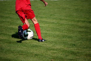 九游（jiuyou.com）游戏-意甲裁判语义辅助判罚系统提升比赛公平性研究，意甲裁判组