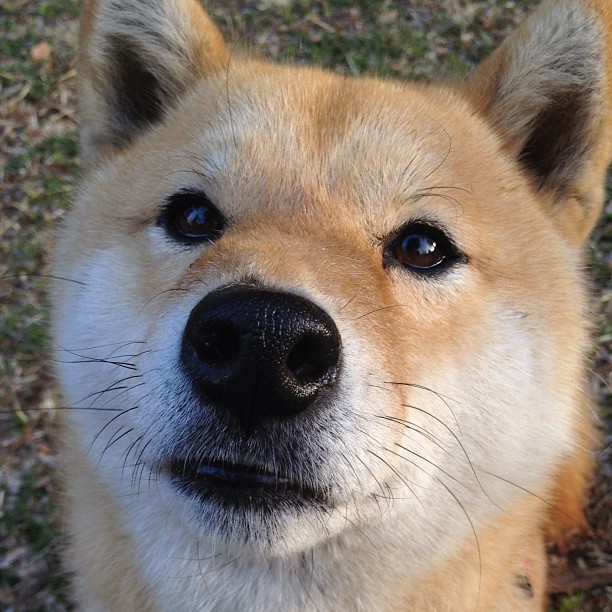 篮球专项动作捕捉技术创新及应用实践，篮球抓拍技巧