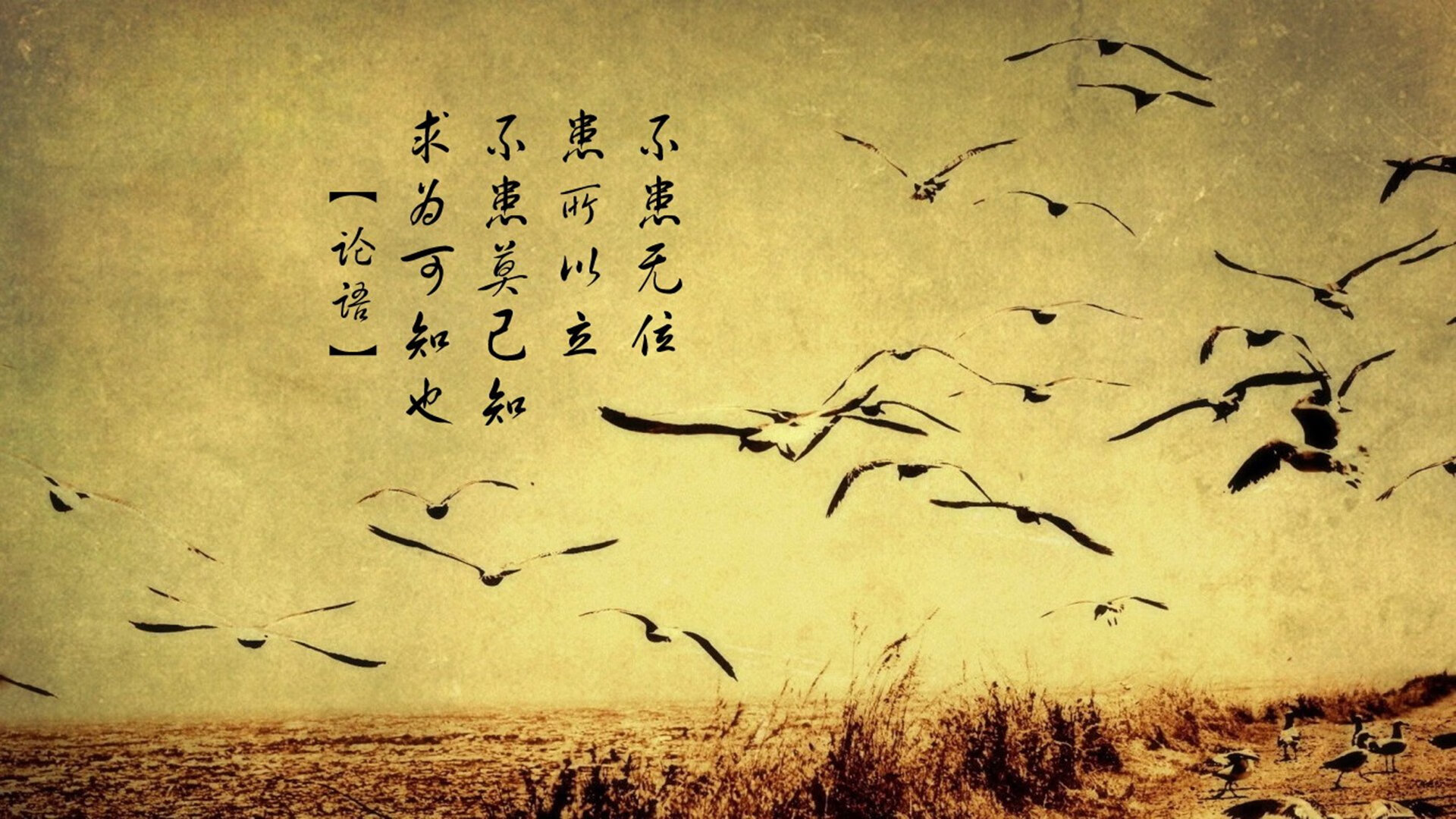 中国三人女篮强化传切配合 提高得分效率,中国篮球女子三人