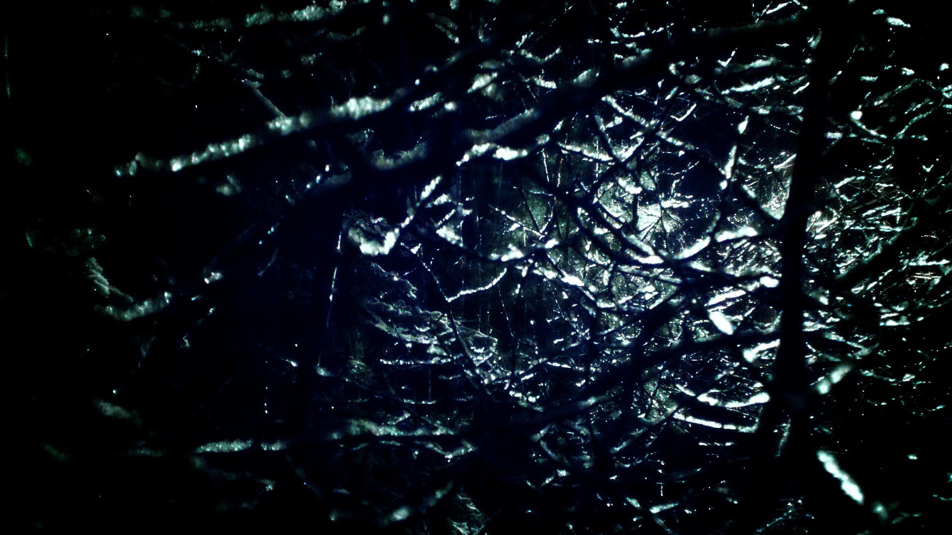 “马科斯·梅特罗的防守之力,成为阿根廷美洲狮队的重要基石”