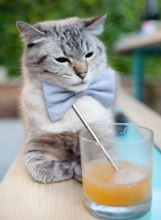 九游娱乐(jiuyou)官方网站-克洛普带领利物浦不断创新战术，追求更高荣誉