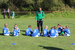 JiuyouAPP下载-南非混合泳团队战术引热议，南非的混合农业