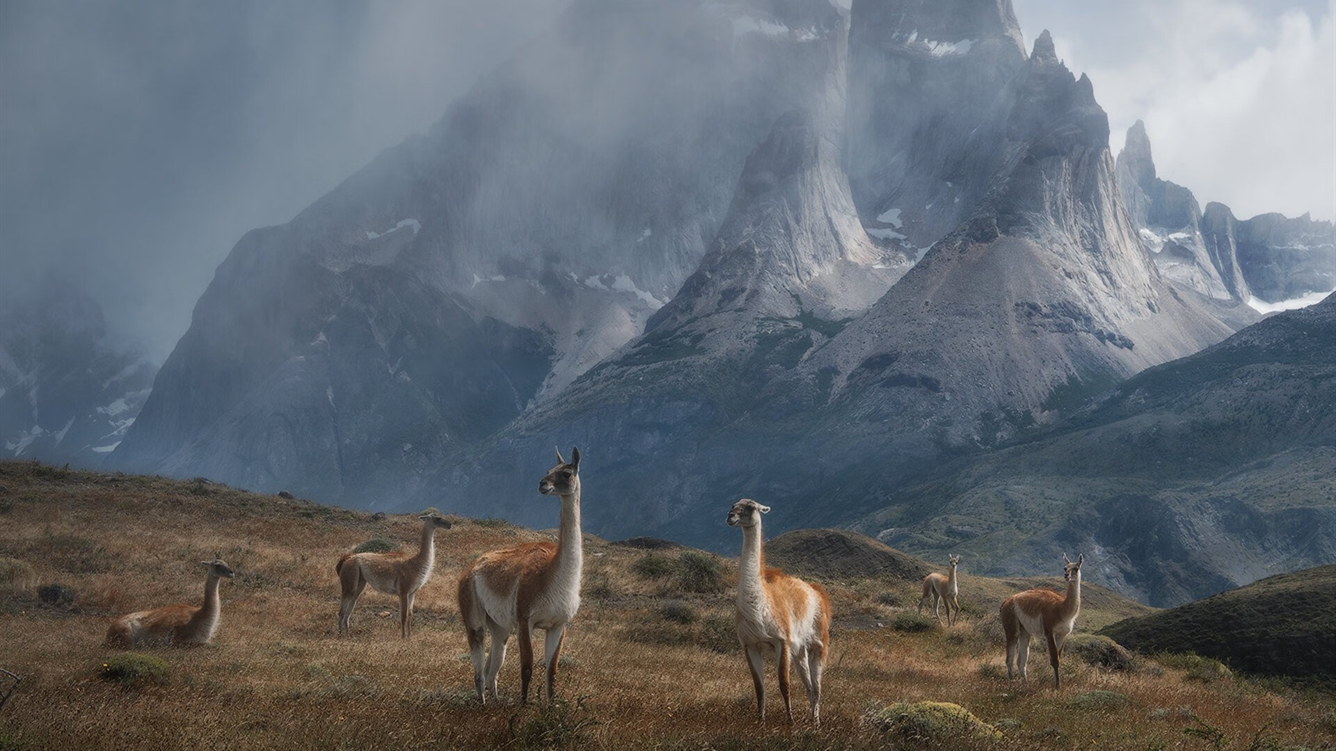 欧洲杯变阵夺冠：战术调整带来奇迹！，欧洲杯怎么变2021