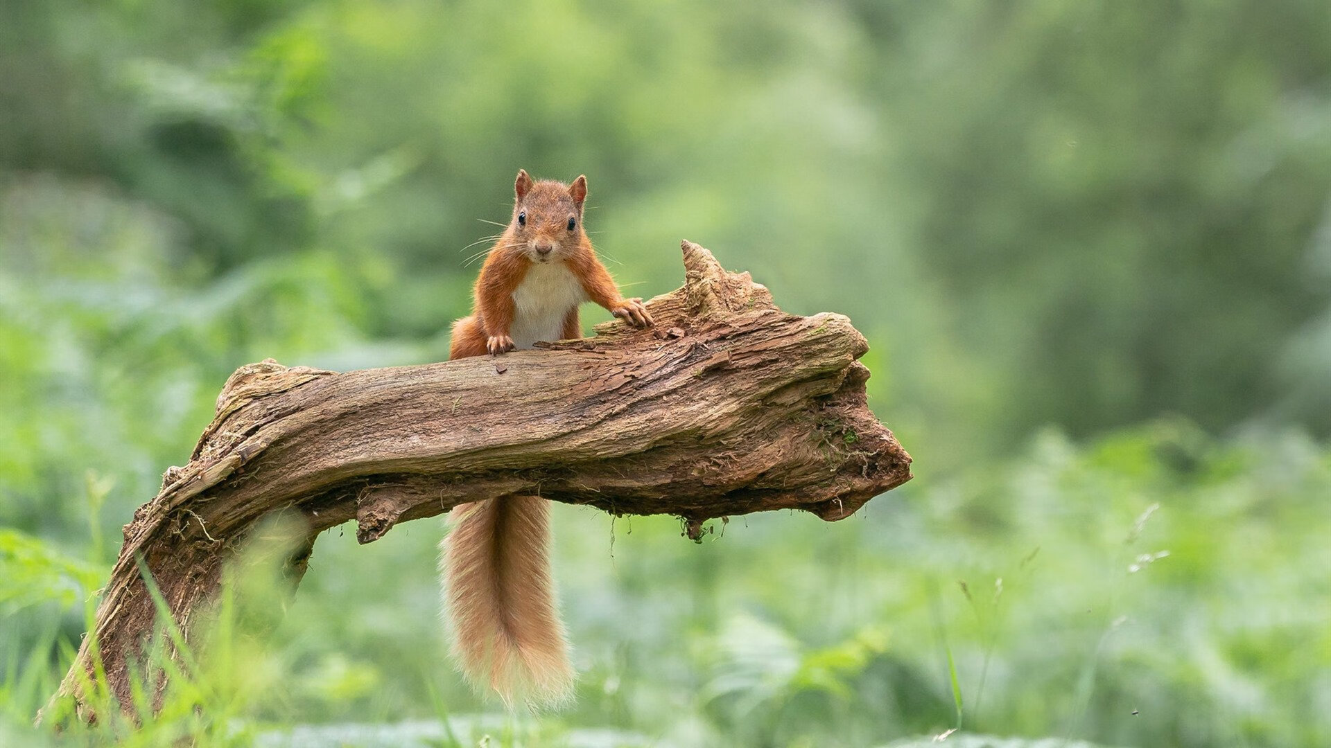 九游官网主页-田径训练营注重运动康复与心理调节，田径训练的意义