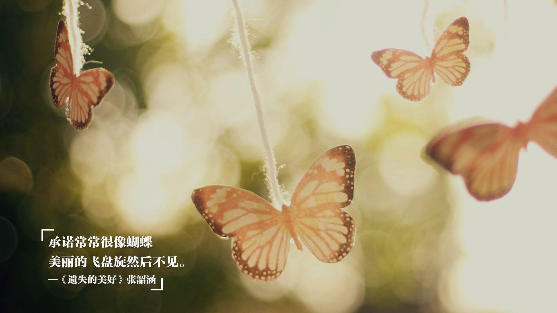 九游电脑版-青少年足球全球推广计划持续深化，未来之星培养加速，青少年足球大赛