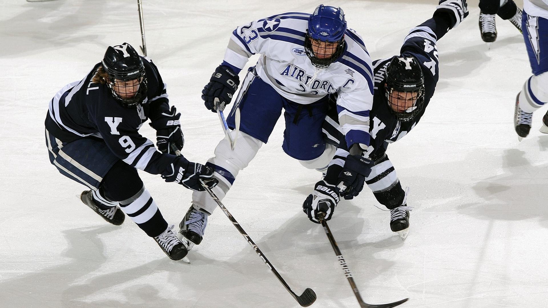 球迷狂欢:现场氛围火爆,激烈赛事不断,球迷狂欢节